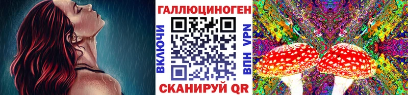 Псилоцибиновые грибы Psilocybine cubensis  Купить где  Питкяранта 